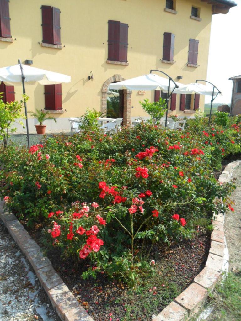 Agriturismo Al Navile Malalbergo Exterior foto